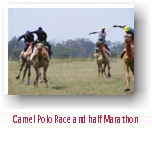 Camel Polo Race and half Marathon 